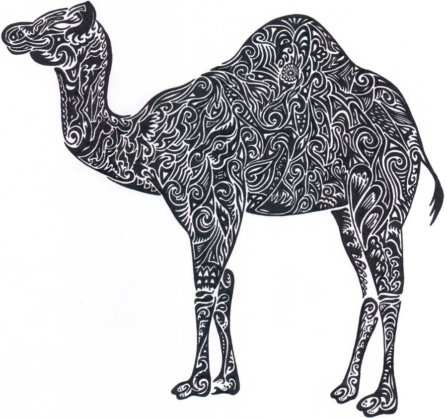 A camel by Hana Bednářová